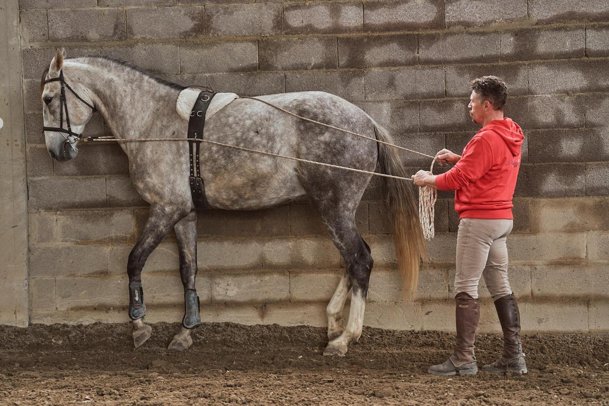 Az.Agr. Il Cavalleggero Campiglia dʼOrcia 外观 照片