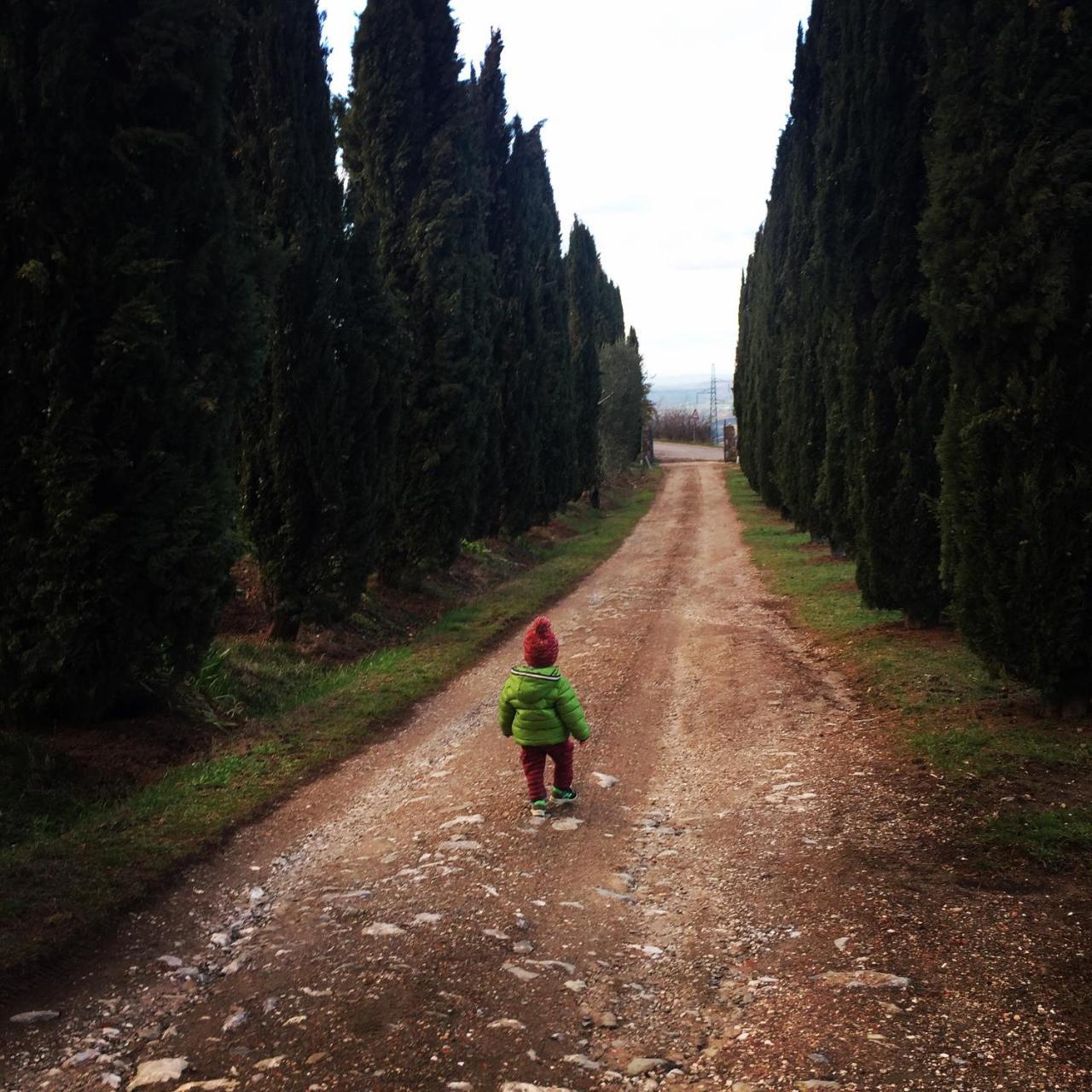 Az.Agr. Il Cavalleggero Campiglia dʼOrcia 外观 照片