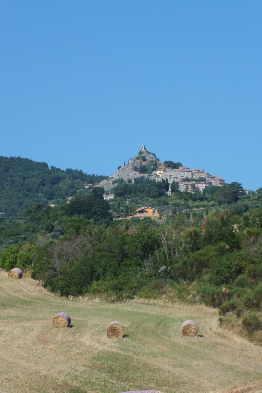 Az.Agr. Il Cavalleggero Campiglia dʼOrcia 外观 照片
