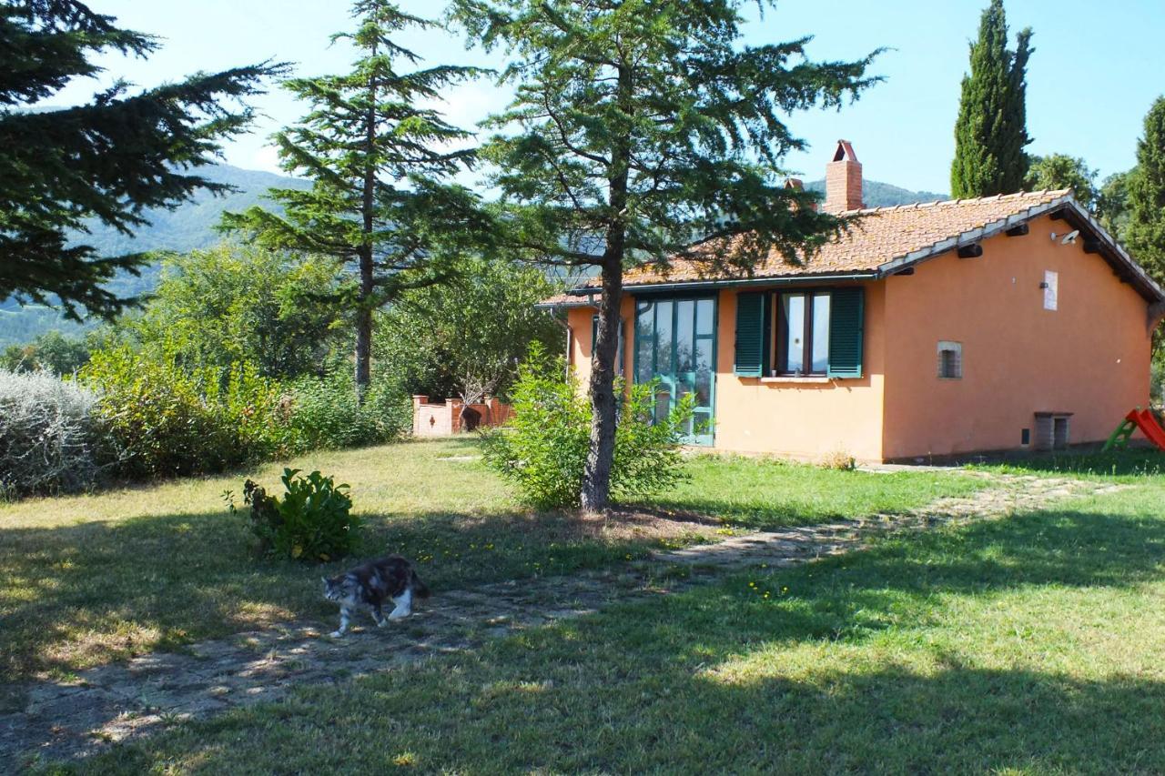 Az.Agr. Il Cavalleggero Campiglia dʼOrcia 外观 照片