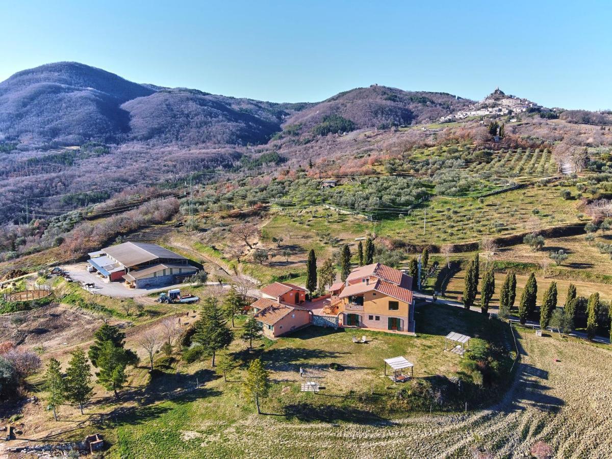 Az.Agr. Il Cavalleggero Campiglia dʼOrcia 外观 照片