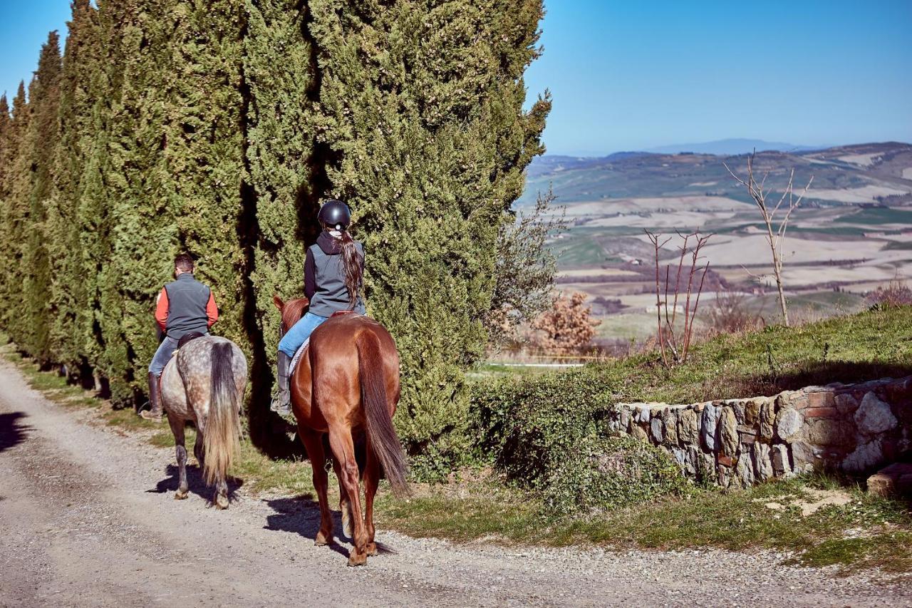 Az.Agr. Il Cavalleggero Campiglia dʼOrcia 外观 照片
